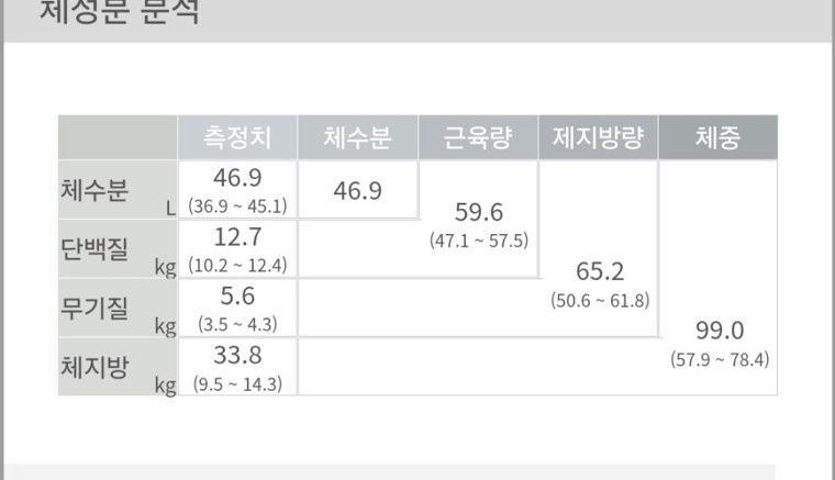 치료 전 인바디 체성분 분석 — 체중 99.0kg, 체지방 33.8kg, 근육량 59.6kg